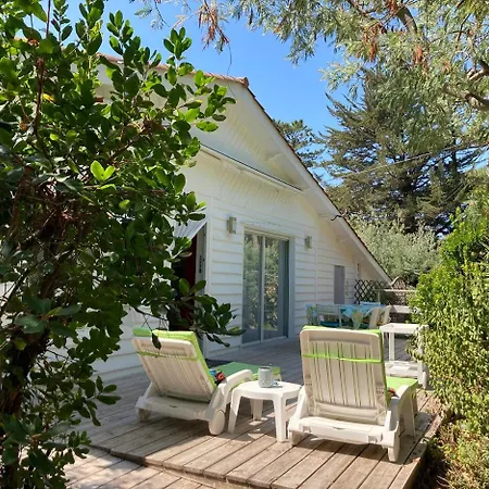 Cap Ferret - Ref 230 *