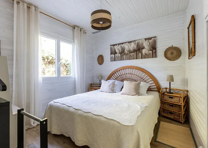 Cap Ferret - Ref 230