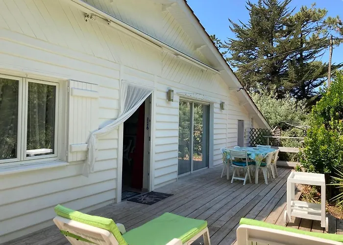 Cap Ferret - Ref 230 *