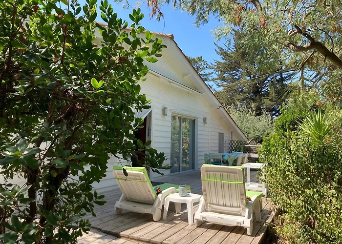 Cap Ferret - Ref 230 *